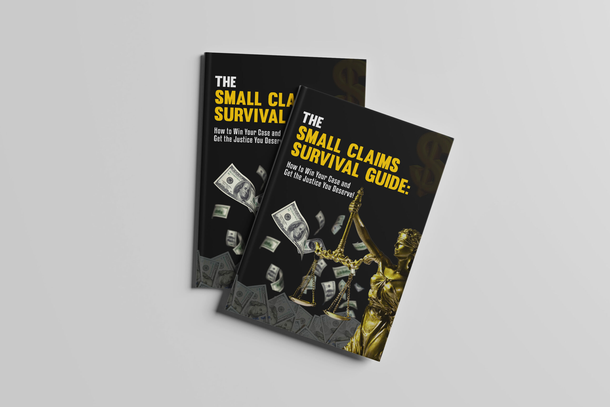 The small claims cover resized